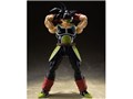 S.H.Figuarts �o�[�_�b�N