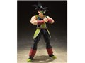 S.H.Figuarts �o�[�_�b�N