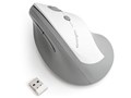 Pro Fit Ergo Vertical Wireless Mouse-Gray K75520JP