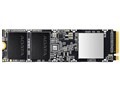 XPG SX8100 ASX8100NP-256GT-C