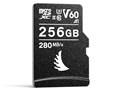 AVP256MSDV60 [256GB]