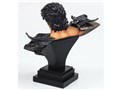 �k�l�̌� �P���V���E ����