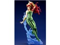 DC COMICS������ 1/7 ����