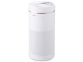 Air Cleaner IAP-A85