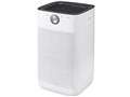 Air Cleaner IAP-A110