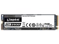 KC2500 NVMe PCIe SSD SKC2500M8/500G