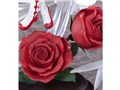 �J�[�h�L���v�^�[������ �N���A�J�[�h�� 1/7 �ؔV�{�� ���P�b�g�r�[�gVer.