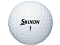 �X���N�\�� Z-STAR 2021�N���f�� [�z���C�g]