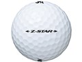 �X���N�\�� Z-STAR 2021�N���f�� [�z���C�g]