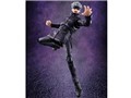 S.H.Figuarts �܏���