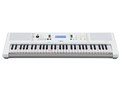 EZ-300 [�V���o�[�z���C�g]