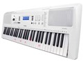 EZ-300 [�V���o�[�z���C�g]