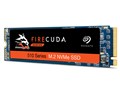 FireCuda 510 ZP1000GM30011