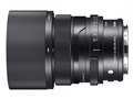 65mm F2 DG DN [���C�JL�p]
