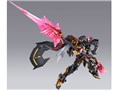 METAL BUILD �K���_���A�X�g���C�S�[���h�t���[���V�~�i �V��̍c��Ver.