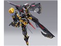 METAL BUILD �K���_���A�X�g���C�S�[���h�t���[���V�~�i �V��̍c��Ver.