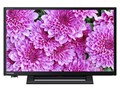 REGZA 19S24 [19�C���`]