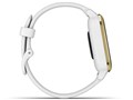 Venu Sq 010-02427-71 [White/Light Gold]