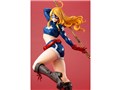 BISHOUJO�V���[�Y DC COMICS������ 1/7 �X�^�[�K�[��