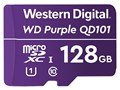 WDD128G1P0C [128GB]