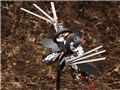 �t���[���A�[���Y 1/100 RF-12 �E�B���o�[�i�C�� RE2
