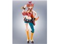 S.H.Figuarts �G���V���E���[��