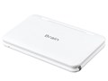 Brain PW-S1-W [�z���C�g�n]