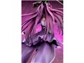 Fate/Grand Order 1/7 �L���X�^�[ �X�J�T�n=�X�J�f�B [���ė�]