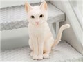 ��L�����F�肭�� 1/7 ���C �݂Ȃ�