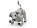 aibo  GfBV ERS-1000 [܃ACX]