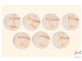 �n�ʏ����뉀 1/10 ���� ���c�J ���A�C���X���w���������E�ĕ�