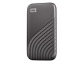 My Passport SSD WDBAGF0010BGY-WESN [�O���[]