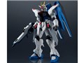 GUNDAM UNIVERSE ZGMF-X10A FREEDOM GUNDAM
