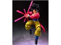 S.H.Figuarts �X�[�p�[�T�C���l4 �����