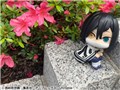�邩���� �S�ł̐n �ɍ����m��