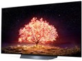 OLED55B1PJA [55�C���`]