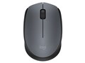 Wireless Mouse M171 M171CG [�O���[]