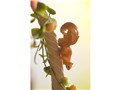 FairyTale-Another 1/8 �����X�̔���