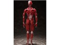 figma �l�̖͌^