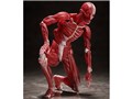 figma �l�̖͌^