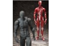 figma �l�̖͌^