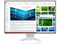 FlexScan EV2485-WT [24.1C` zCg]