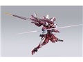 METAL BUILD �W���X�e�B�X�K���_��