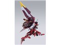 METAL BUILD �W���X�e�B�X�K���_��