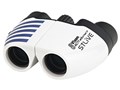 STLIVE MP8x21 [�u���[]