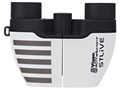 STLIVE MP8x21 [�O���[]