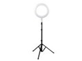 Nuada Ring40C LED Light