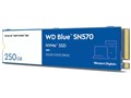 WD Blue SN570 NVMe WDS250G3B0C