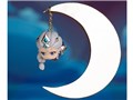 ���҉h�s Hang On ���i