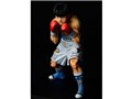 �͂��߂̈�� ���V����� -fighting pose-
